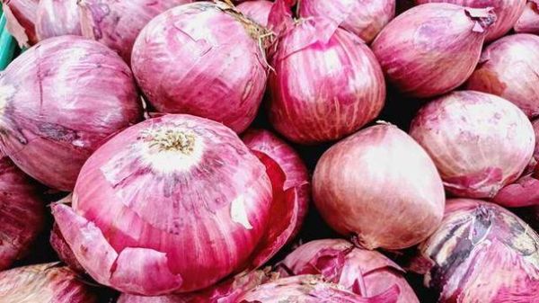 孕妇能吃洋葱吗_怀孕初期吃洋葱安全吗-第3张图片-星辰妙记 孕妇能吃洋葱吗_怀孕初期吃洋葱安全吗-第3张图片-星辰妙记