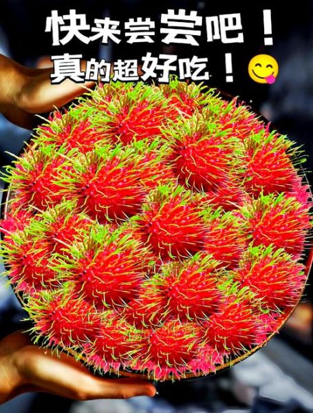 红毛丹孕妇可以吃吗_孕妇吃红毛丹注意事项-第1张图片-星辰妙记