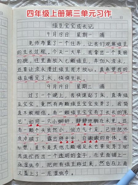 观察作文300字怎么写_观察作文300字写作技巧-第2张图片-星辰妙记