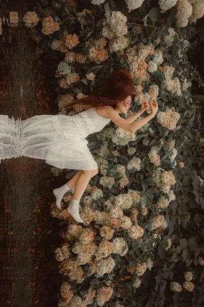 镜头下的世界_如何用手机拍出电影感-第1张图片-星辰妙记 镜头下的世界_如何用手机拍出电影感-第1张图片-星辰妙记