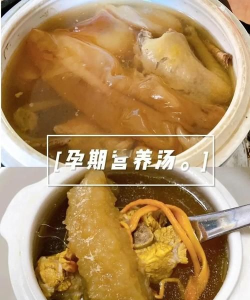 孕妇可以吃鸽子汤吗_孕妇喝鸽子汤对胎儿好吗-第1张图片-星辰妙记