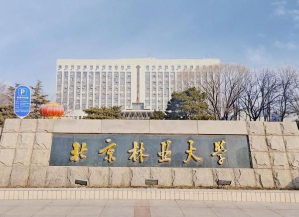 北京林业大学地址在哪_怎么去最方便-第1张图片-星辰妙记 北京林业大学地址在哪_怎么去最方便-第1张图片-星辰妙记