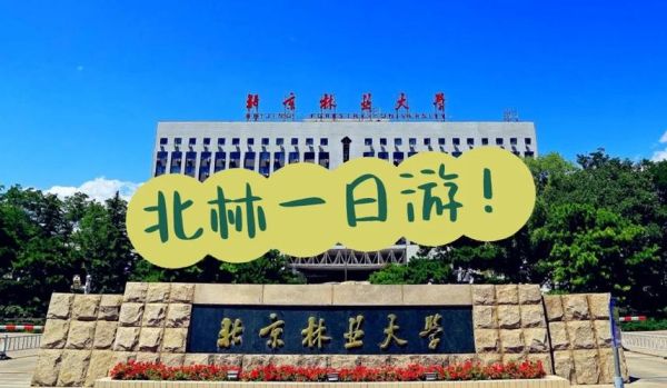 北京林业大学地址在哪_怎么去最方便-第3张图片-星辰妙记 北京林业大学地址在哪_怎么去最方便-第3张图片-星辰妙记