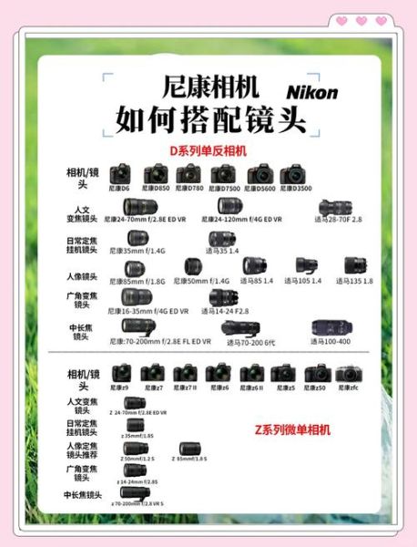 新手微单镜头怎么选_新手微单镜头推荐-第3张图片-星辰妙记