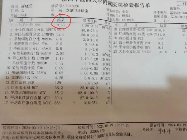 孕妇白细胞偏高正常吗_孕妇白细胞正常值范围-第2张图片-星辰妙记