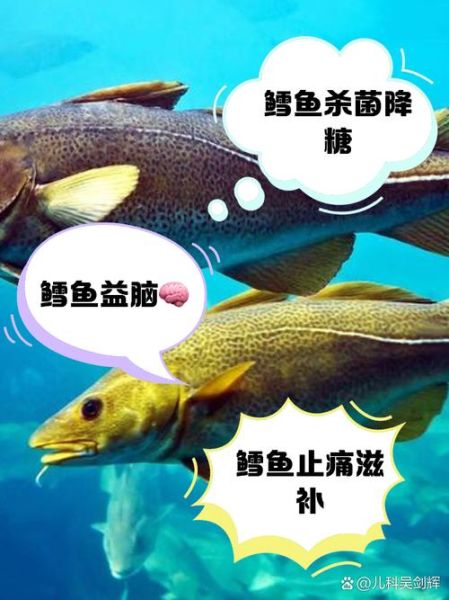 孕妇可以吃鳕鱼吗_鳕鱼对孕妇的好处与风险-第1张图片-星辰妙记