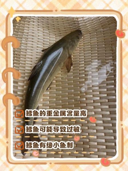 孕妇可以吃鳕鱼吗_鳕鱼对孕妇的好处与风险-第3张图片-星辰妙记