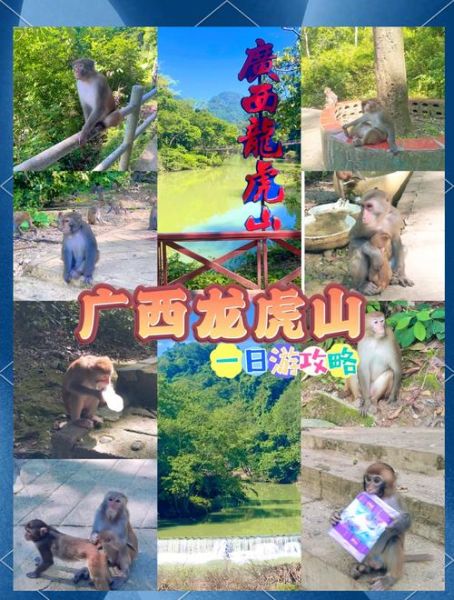 龙虎山旅游攻略_龙虎山门票多少钱-第3张图片-星辰妙记