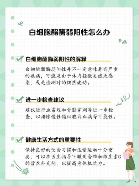 孕妇白细胞酯酶阳性是什么意思_对胎儿有影响吗-第3张图片-星辰妙记