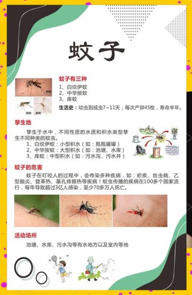 孕妇梦见很多蚊子_孕妇梦见蚊子是什么意思-第3张图片-星辰妙记