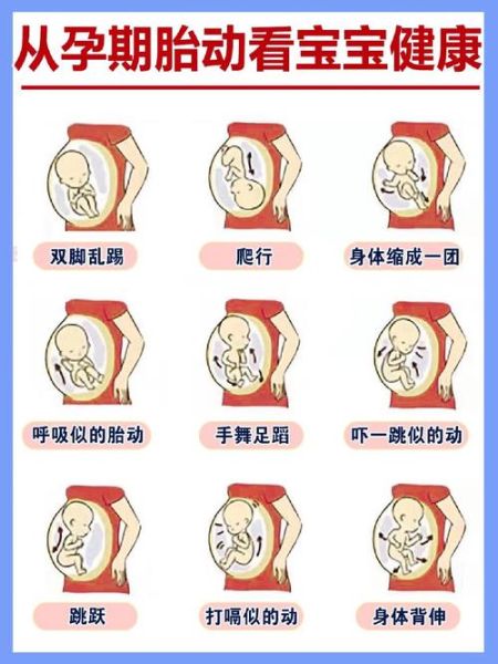 孕妇4个月有胎动吗_胎动最早什么时候出现-第2张图片-星辰妙记