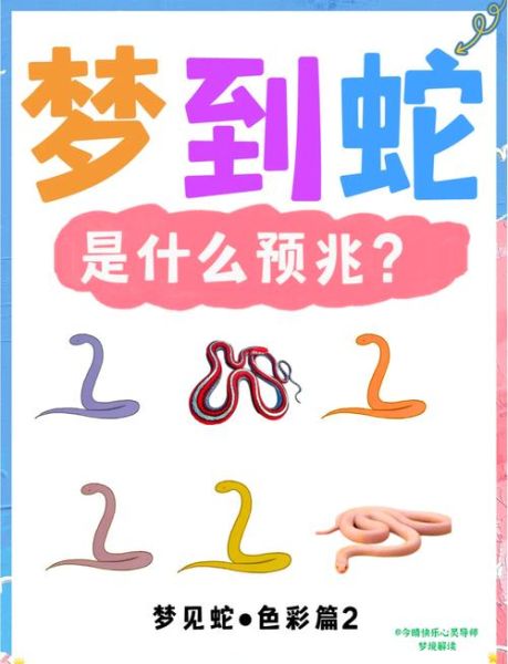 孕妇梦见蛇是什么意思_孕妇梦见蛇是生男生女-第1张图片-星辰妙记