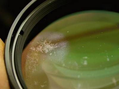 镜头长霉怎么处理_镜头长霉会损坏镜片吗-第3张图片-星辰妙记