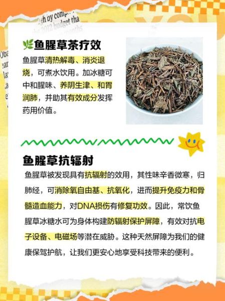 孕妇能喝鱼腥草水吗_鱼腥草水对胎儿有影响吗-第1张图片-星辰妙记 孕妇能喝鱼腥草水吗_鱼腥草水对胎儿有影响吗-第1张图片-星辰妙记
