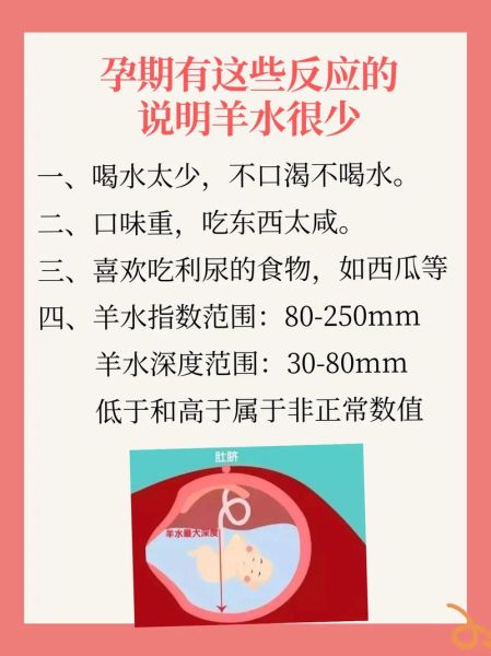 孕妇羊水少怎么补最快_羊水偏少吃什么好-第1张图片-星辰妙记