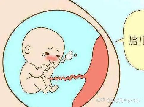 胎儿缺氧孕妇会有什么反应_胎儿缺氧孕妇症状表现-第1张图片-星辰妙记