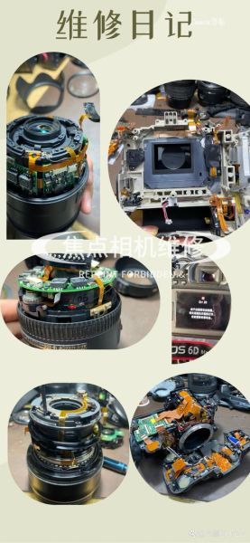 单反镜头晃动有声音_怎么回事-第1张图片-星辰妙记