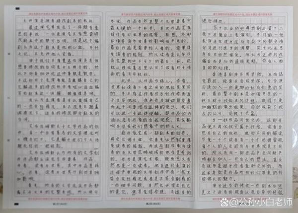 如何写好高中作文_高中作文范文怎么写-第3张图片-星辰妙记 如何写好高中作文_高中作文范文怎么写-第3张图片-星辰妙记