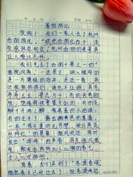 暑假去哪里玩_暑假游玩作文怎么写-第1张图片-星辰妙记 暑假去哪里玩_暑假游玩作文怎么写-第1张图片-星辰妙记