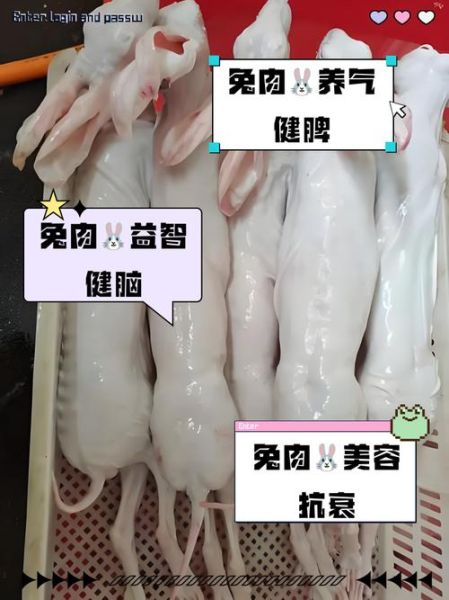 孕妇可以吃兔子肉吗_孕妇吃兔子肉对胎儿好吗-第3张图片-星辰妙记