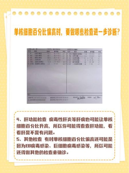 单核细胞计数偏高孕妇怎么办_会影响胎儿吗-第3张图片-星辰妙记