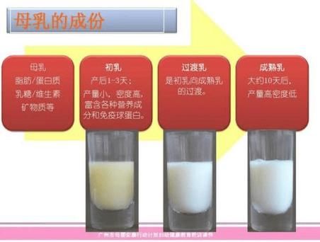 孕妇几个月有奶水_什么时候开始分泌初乳-第1张图片-星辰妙记