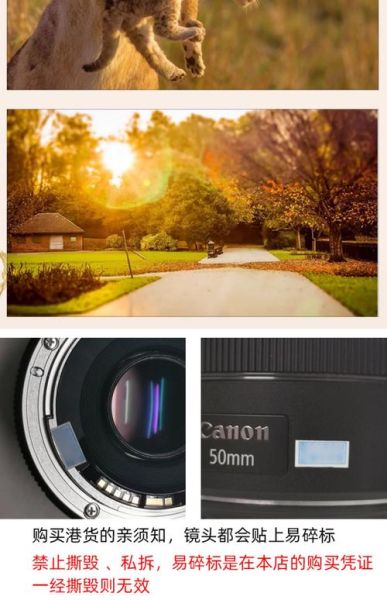 f1.4镜头适合拍什么_f1.4大光圈优缺点-第1张图片-星辰妙记