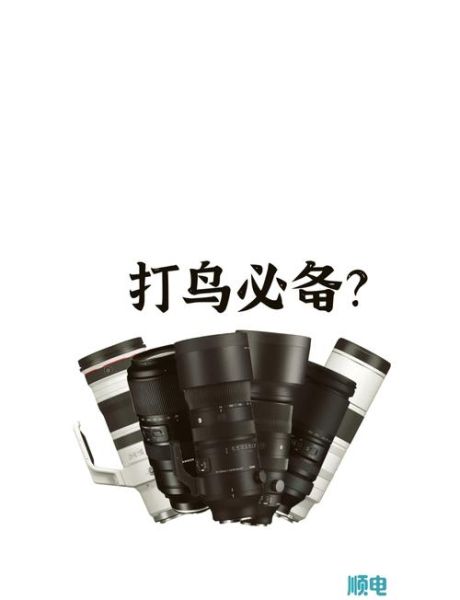 打鸟用什么镜头_打鸟镜头推荐-第1张图片-星辰妙记