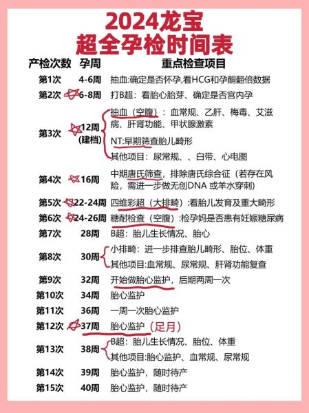 孕妇什么时候做nt_最佳孕周是多少-第2张图片-星辰妙记