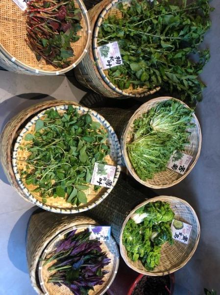 孕妇能吃枸杞叶吗_枸杞叶对胎儿有影响吗-第3张图片-星辰妙记