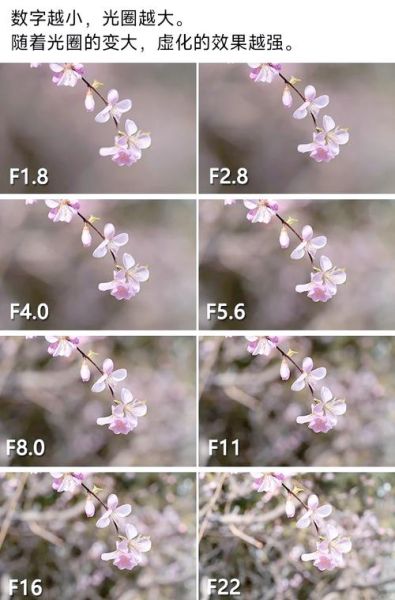 镜头焦距怎么选_光圈大小如何影响景深-第3张图片-星辰妙记