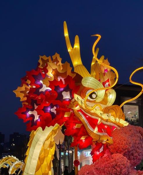 龙的镜头怎么选_龙的镜头适合拍什么题材-第1张图片-星辰妙记