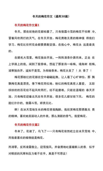 梅花怎么写作文_梅花作文写作技巧-第3张图片-星辰妙记