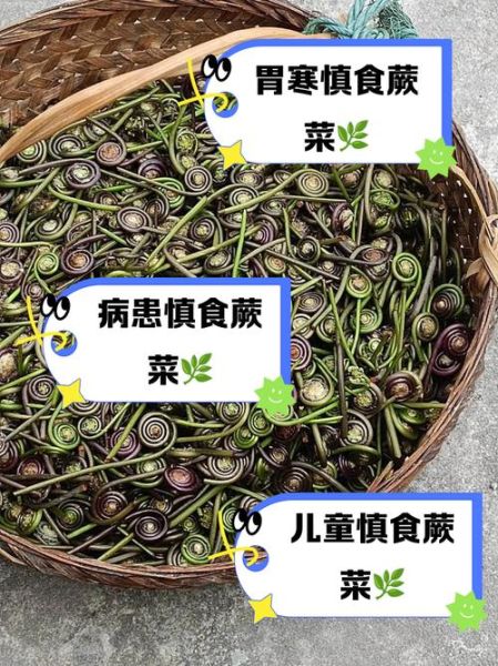 孕妇可以吃蕨菜吗_蕨菜对孕妇的影响-第3张图片-星辰妙记