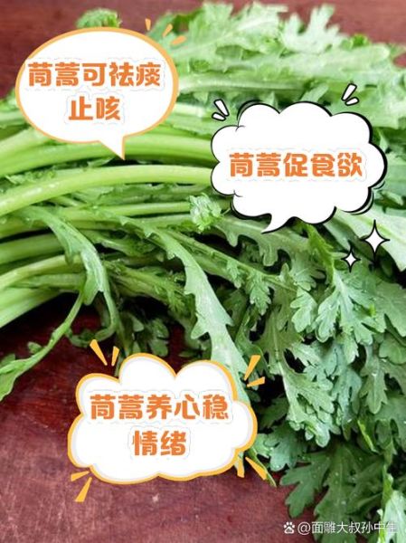 孕妇能吃茼蒿菜吗_怀孕吃茼蒿的禁忌-第1张图片-星辰妙记