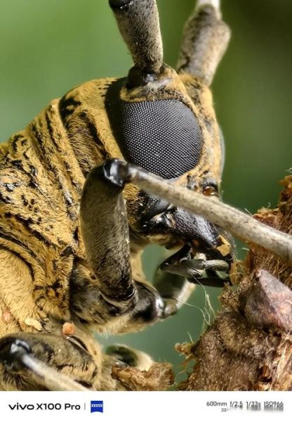 复眼镜头是什么_复眼镜头优缺点-第2张图片-星辰妙记