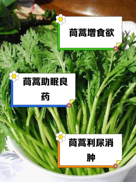 孕妇能吃茼蒿菜吗_怀孕吃茼蒿的禁忌-第3张图片-星辰妙记