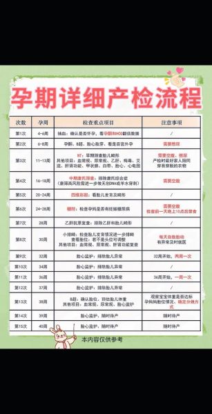 孕妇产检费用怎么报销_产检费用报销流程-第2张图片-星辰妙记