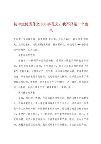 初中优秀作文600字怎么写_如何写出高分记叙文-第2张图片-星辰妙记