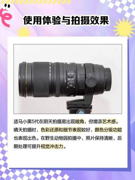 镜头小黑是什么_镜头小黑怎么用-第1张图片-星辰妙记