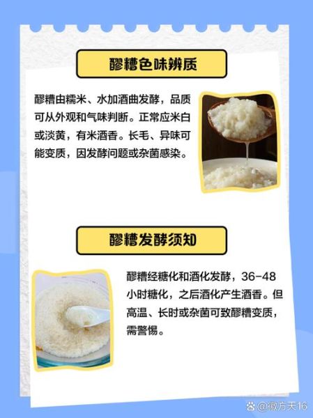 孕妇可以吃醪糟吗_醪糟对胎儿的影响-第2张图片-星辰妙记