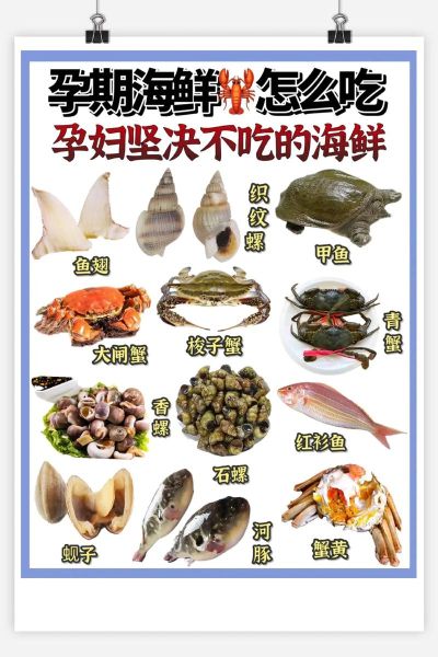 孕妇能吃海鲜吗初期_怀孕初期吃哪些海鲜安全-第1张图片-星辰妙记