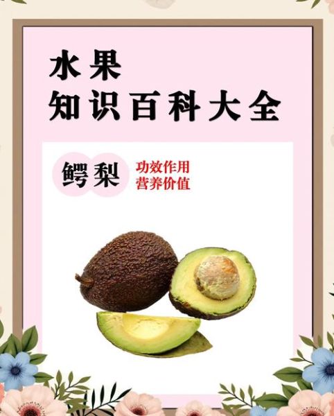 孕妇牛油果怎么吃_牛油果孕妇一天吃多少合适-第1张图片-星辰妙记