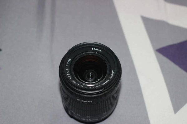 佳能狗头镜头值得买吗_适合拍什么题材-第2张图片-星辰妙记