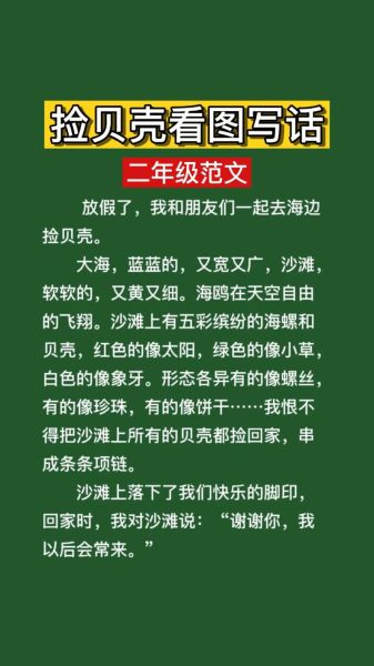 捡贝壳作文怎么写_海边拾贝有哪些细节可描写-第3张图片-星辰妙记