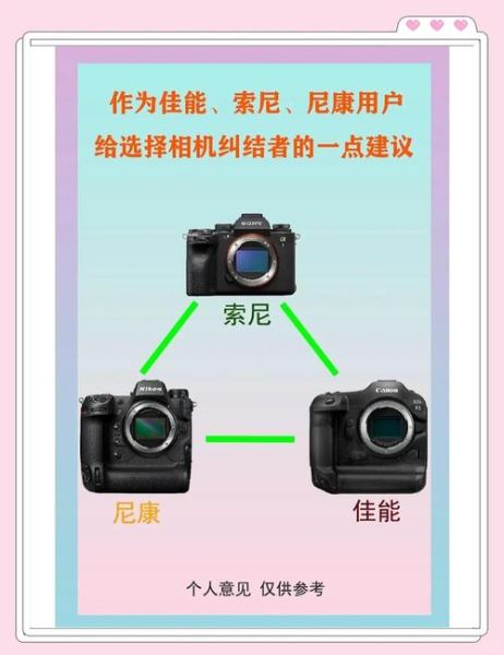 单反镜头都是通用的吗_佳能尼康镜头互换-第2张图片-星辰妙记