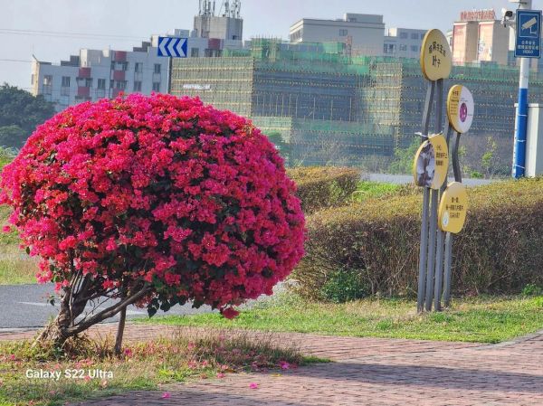莱卡镜头样片画质如何_莱卡镜头适合拍什么题材-第2张图片-星辰妙记