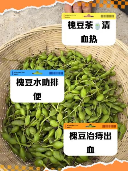 孕妇可以喝槐豆水吗_槐豆水对胎儿有影响吗-第1张图片-星辰妙记