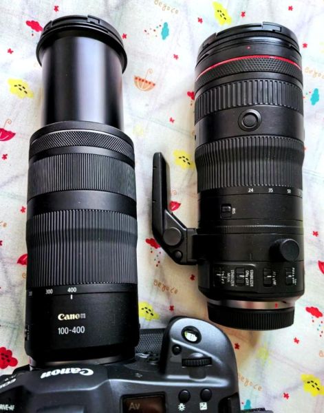 佳能400镜头怎么样_佳能400mm镜头值得买吗-第1张图片-星辰妙记
