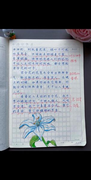 植物朋友作文怎么写_300字作文如何扩写到800字-第3张图片-星辰妙记